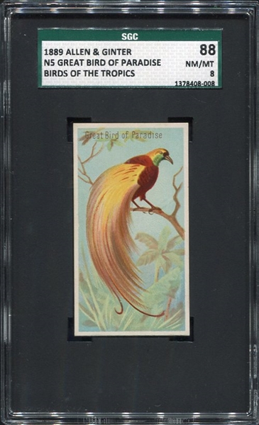N5 Allen & Ginter Birds of the Tropics Bird of Paradise SGC 88
