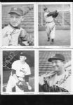 1953 San Francisco Seals Team Set of 24 Nrmt/Mt