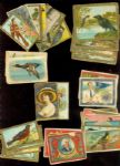 Large Non Sport Tobacco card lot (89) 