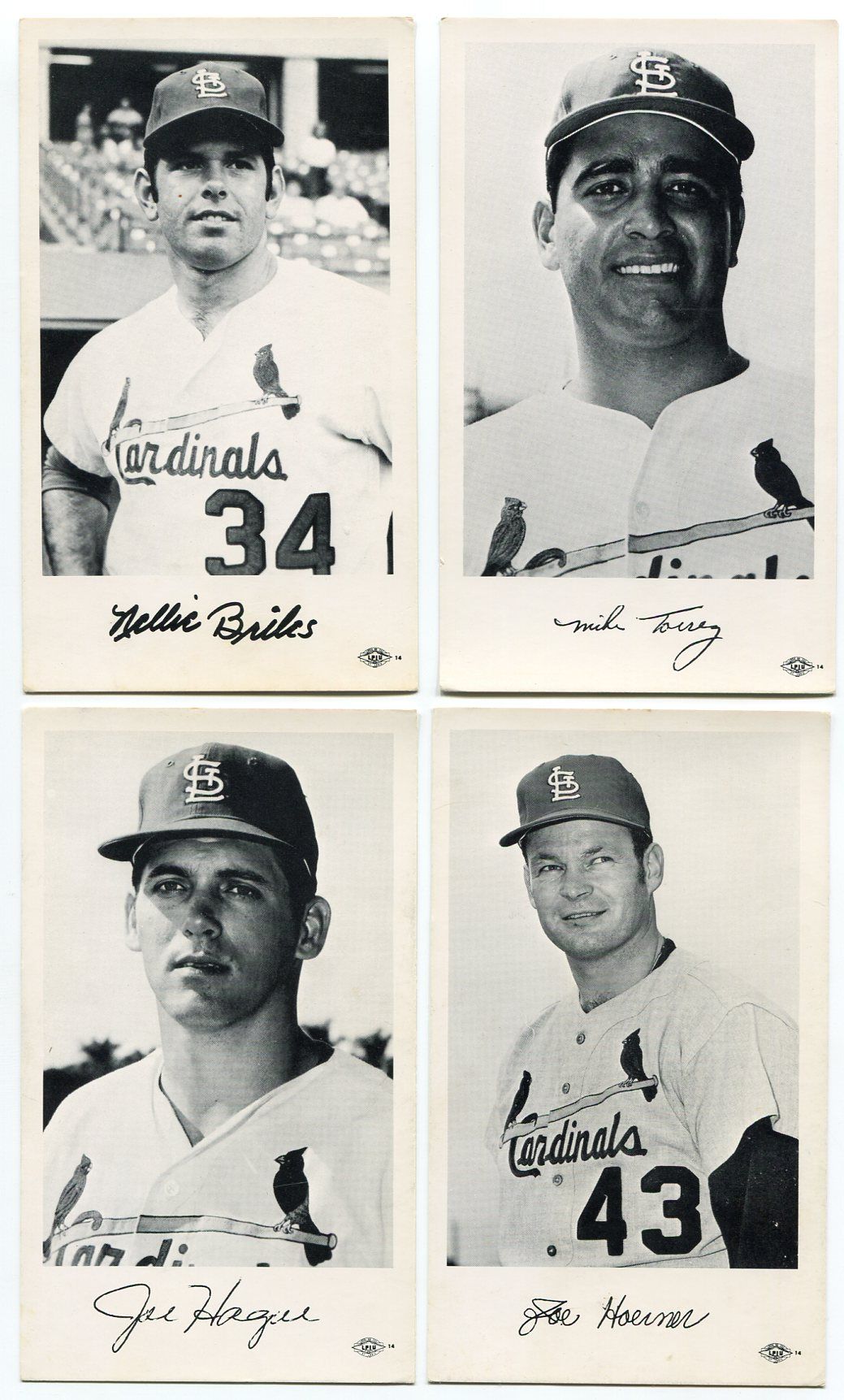 Lot Detail - 1960&#39;s St. Louis Cardinals Team Issued Photos Lot of 18 Different