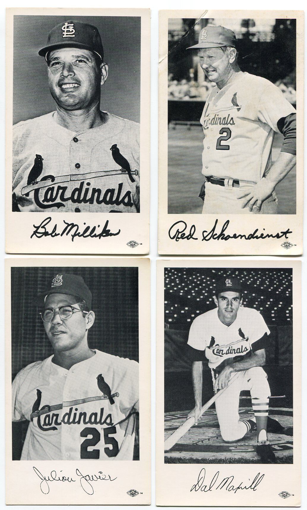 Lot Detail - 1960's St. Louis Cardinals Team Issued Photos Lot of 18 ...