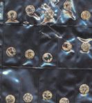 *P3 (35) Comic Pinbacks, P6 (55) Sweet Caporal, National Flag Pins, 1896