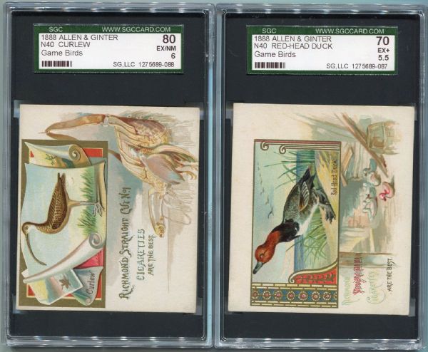 Lot of 5 Large Size Allen & Ginter Cards N38, N40 & N41 All SGC Graded