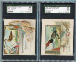 Lot of 5 Large Size Allen & Ginter Cards N38, N40 & N41 All SGC Graded