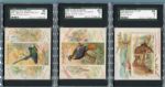 Lot of 5 Large Size Allen & Ginter Cards N38, N40 & N41 All SGC Graded