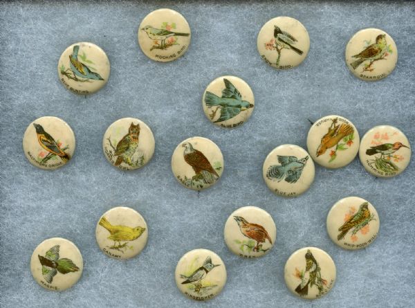 1890s Whitehead & Hoag Bird Pinbacks 17 Different Very Nice Condition