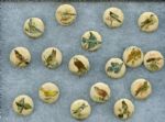 1890s Whitehead & Hoag Bird Pinbacks 17 Different Very Nice Condition
