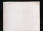 George Burke Original 1940 White Sox 8 x 10, Lyons, Appling etc...