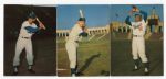 1961 Morrell Meats Los Angeles Dodgers Lot of 3 Different EXMT+/-