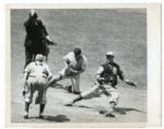 St. Louis Browns Wire Photo Lot of 5 All 1944