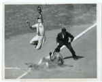 St. Louis Browns Wire Photo Lot of 5 All 1944