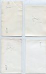St. Louis Browns Lot of 14 Snapshots from Spring Training Late 1940's