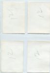 St. Louis Browns Lot of 14 Snapshots from Spring Training Late 1940's