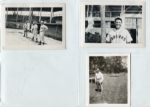 St. Louis Browns Lot of 14 Snapshots from Spring Training Late 1940's
