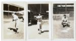 Lot of 15 1920's St. Louis Browns Spring Training Snapshots