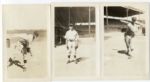Lot of 15 1920's St. Louis Browns Spring Training Snapshots