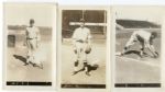 Lot of 15 1920's St. Louis Browns Spring Training Snapshots