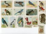 J-Series Lot of 15 Different Mostly Arm & Hammer Cards