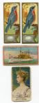 E Card Non-Sports Lot of 4