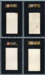 E137 1920 Zeenut Lot of 12 Different Mostly SGC Graded