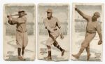 E137 1920 Zeenut Lot of 12 Different Mostly SGC Graded
