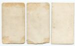 E137 1920 Zeenut Lot of 12 Different Mostly SGC Graded