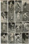 E137 1924 Zeenut Lot of 41 Different 25 SGC Graded
