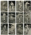 E137 1926 Zeenut Partial Set of 39 Different Mostly SGC Graded