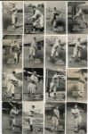 E137 1931 Zeenut Partial Set of 116 Different