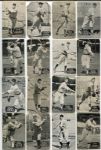 E137 1933-36 Zeenut Partial Set of 66 Different With Variations