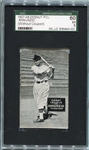 E137 1937-38 Zeenuts Lot of 23 Different All SGC Graded