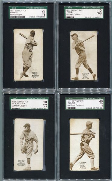 E137 1921 Zeenut Lot of 31 Different All SGC Graded