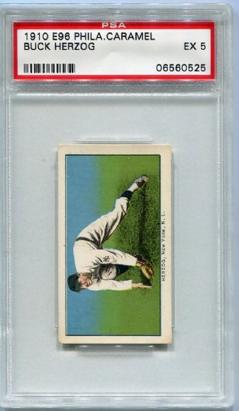 E96 Buck Herzog PSA 5 Only One Graded Higher by PSA