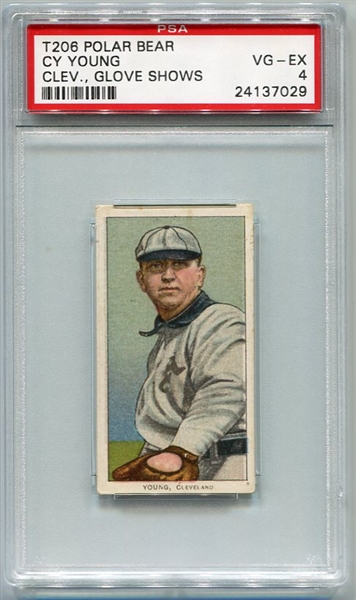 T206 Cy Young Glove Shows Polar Bear PSA 4