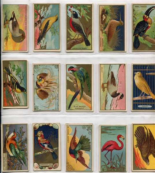 T42 Bird Series Type 1 & 2 Complete Set of 100