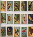 T42 Bird Series Type 1 & 2 Complete Set of 100