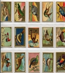 T42 Bird Series Type 1 & 2 Complete Set of 100