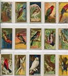 T42 Bird Series Type 1 & 2 Complete Set of 100