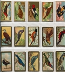 T42 Bird Series Type 1 & 2 Complete Set of 100