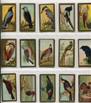 T42 Bird Series Type 1 & 2 Complete Set of 100