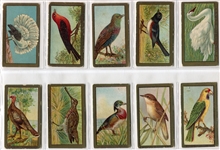 T42 Bird Series Type 1 & 2 Complete Set of 100