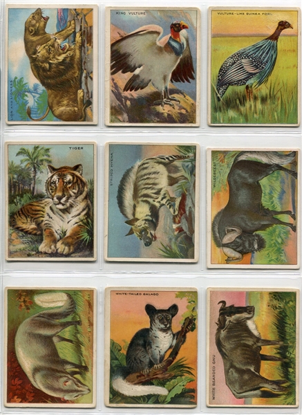 T29 Hassan Animals Complete Set of 80 
