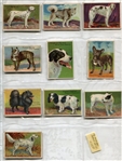 T96 Khedival Co. Prize Dog Series Complete Set of 10