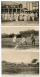 1909 University of Wisconsin Tour of Japan Postcard Lot of 3 Different