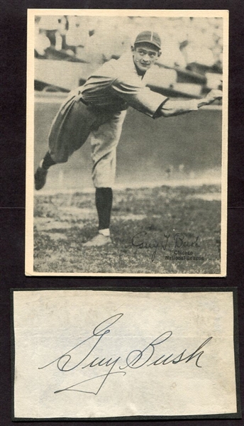 1929 Kashin Guy Bush with Scrapbook Autograph