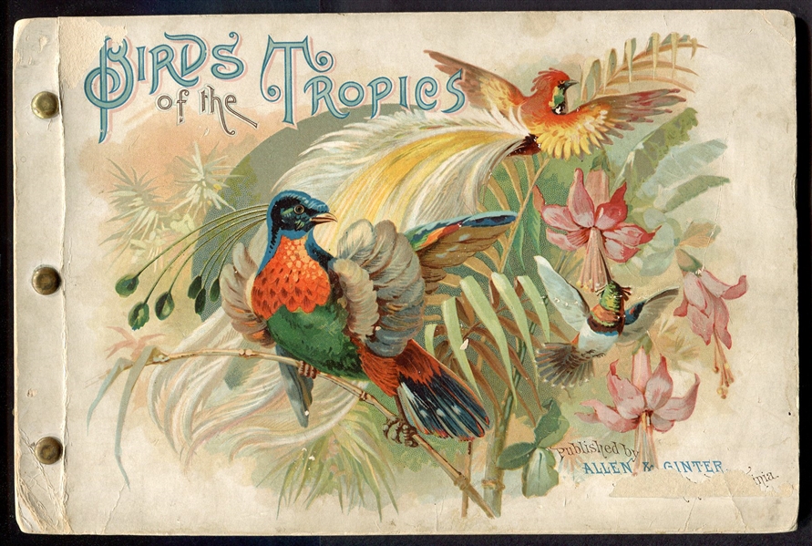 A4 Allen & Ginter Birds of The Tropics Album