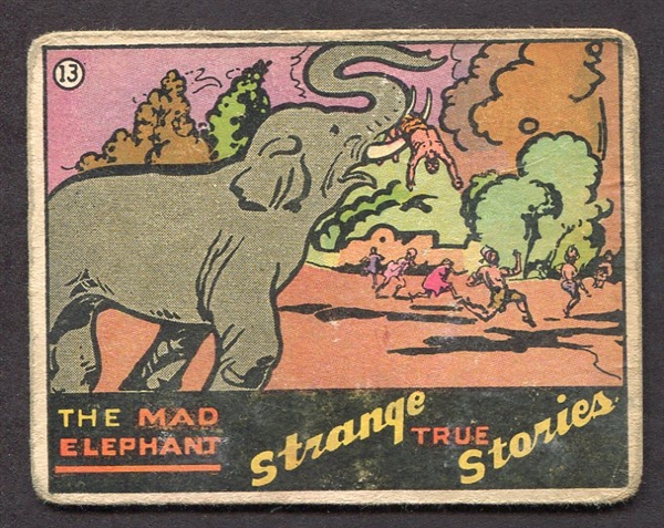 R144 Strange True Stories #13 Mad Elephant