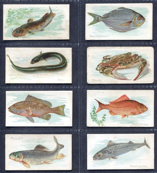 N8 Fish Allen & Ginter Partial Set of 25 Different