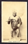 Circa 1860s The Gorilla CDV
