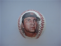 Carl Yastrzemski Autographed Hand Painted Erwin Sadler Baseball
